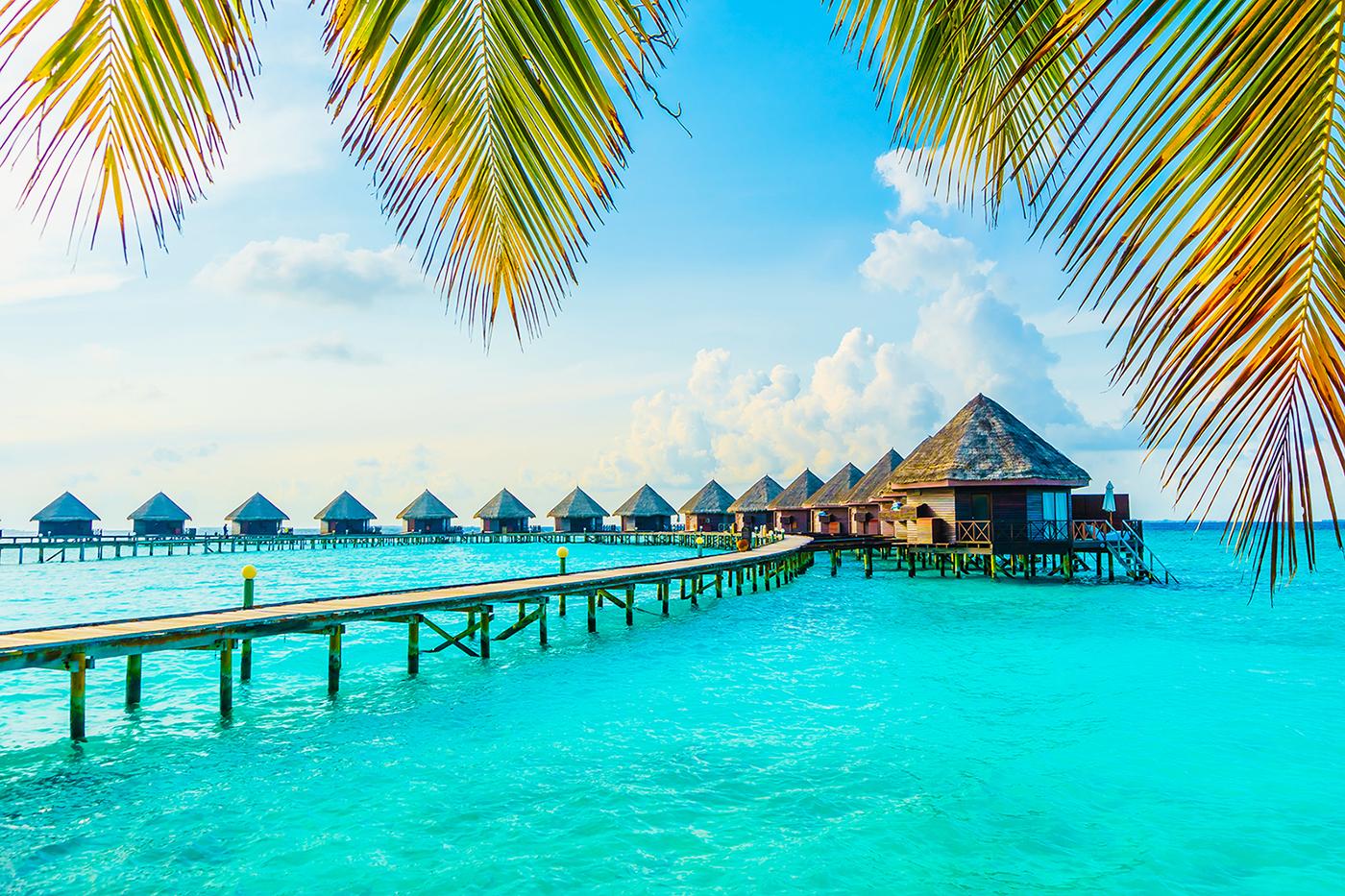 american express travel