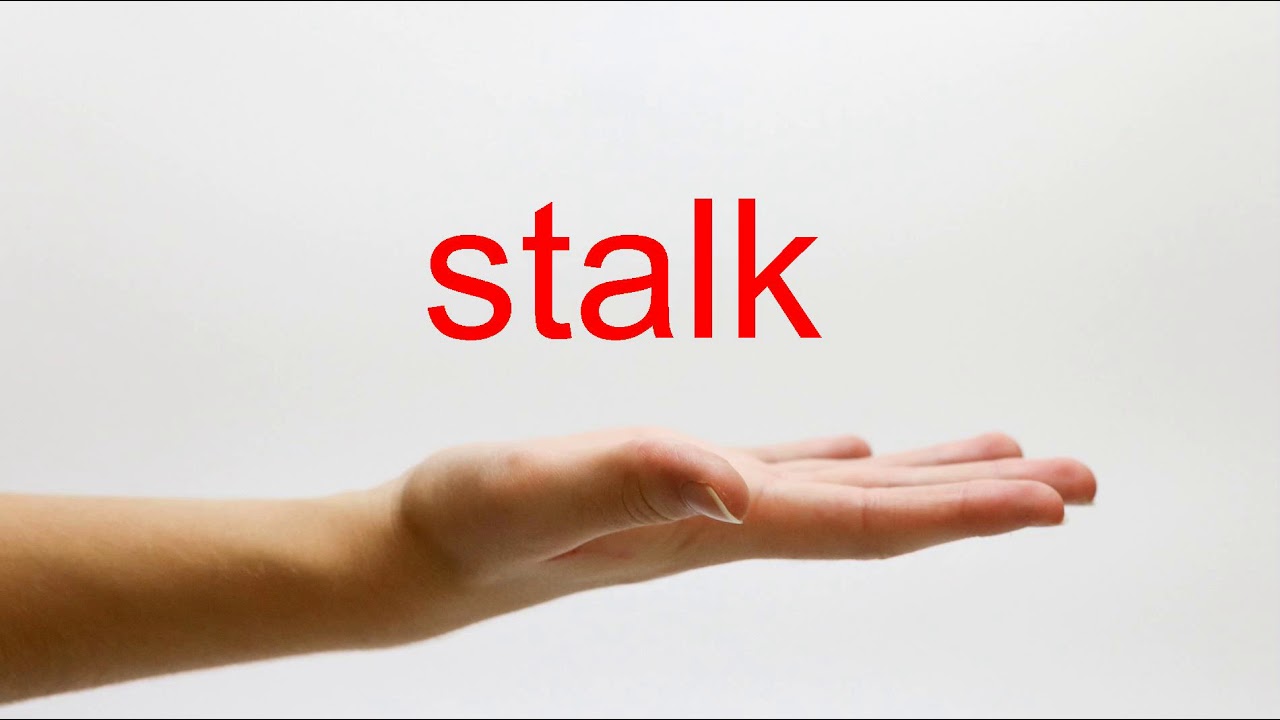 Stalk Unveiled: Navigating the Intricacies of Personal Information Online