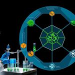 biocentrism debunked