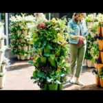 green stalk planter