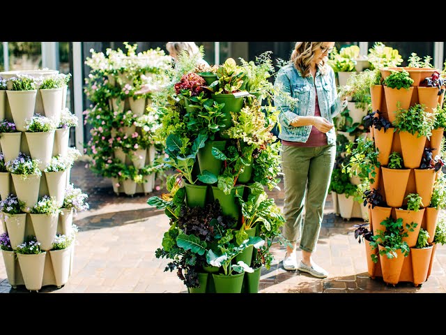 green stalk planter