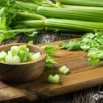 what is a stalk of celery
