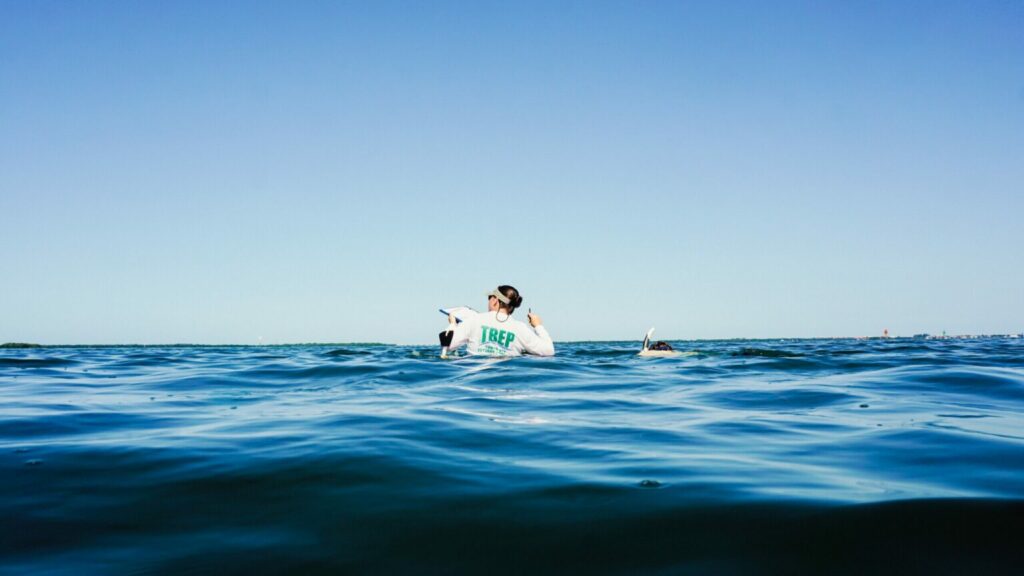 Diving Best Practices