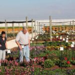 costa farms