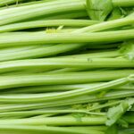 Celery Stalk