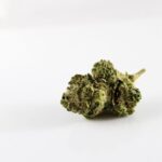 THCA: