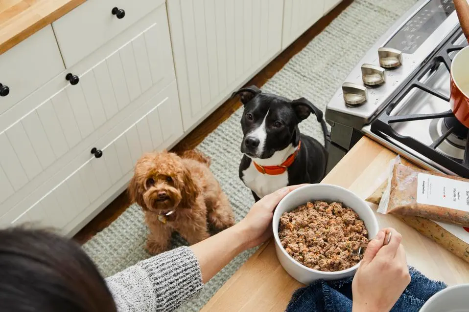 The Farmer's Dog: Revolutionizing Pet Nutrition