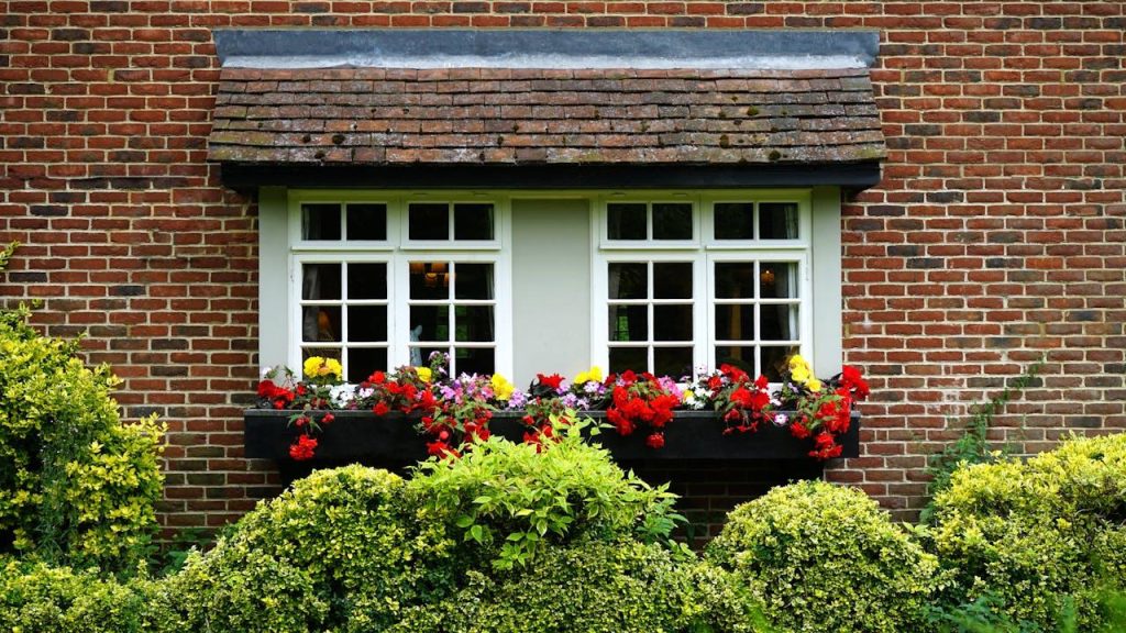 How to Make Sure You Get the Best Type of Seeds For Your Home Gardens
