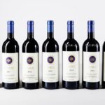 The Ultimate Guide to Sassicaia Wine: A Tuscan Treasure