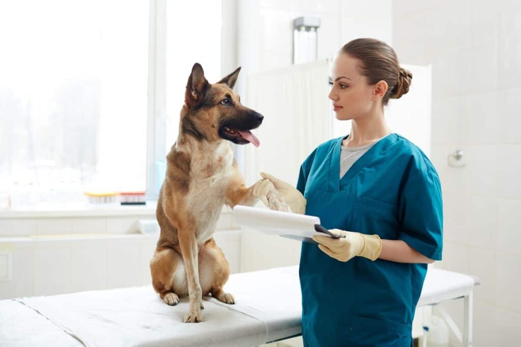 Vet Tech Pay: A Comprehensive Guide to Salary, Benefits, and Career Growth