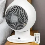 Why the Woozoo Fan Is Going Viral: Compact, Powerful, and Perfect for Summer