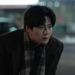 Kim Seon-ho When Life Gives You Tangerines – A Complete Guide