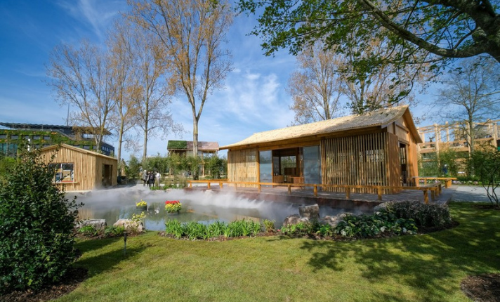 Bamboo Garden: A Complete Guide to Creating a Peaceful Green Sanctuary